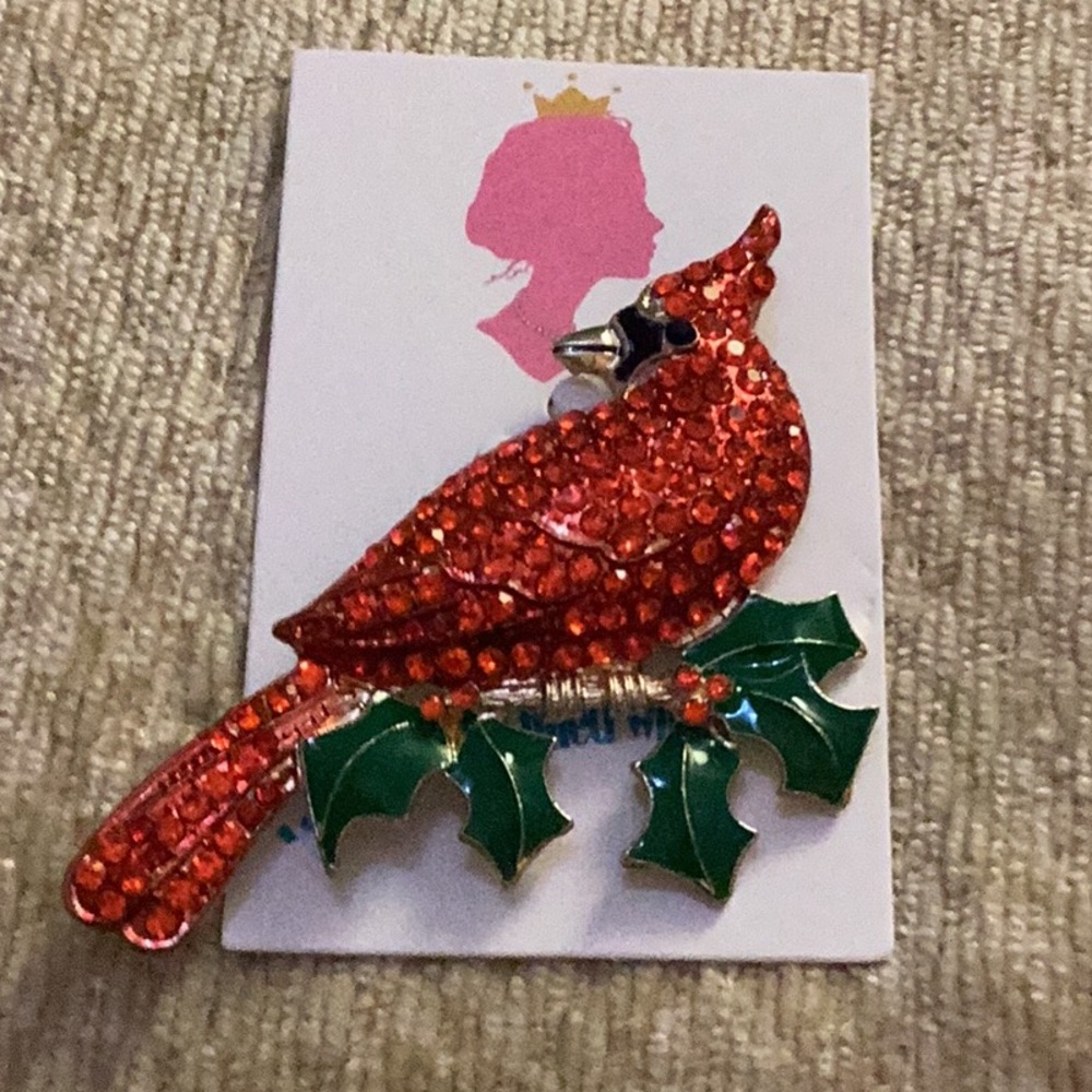 ❤️NWT Gorgeous Red Cardinal Rhinestone
Giant Brooch ❤️ - Picture 4 of 6